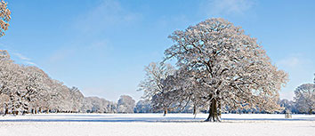 国足备战前瞻，备战路线图曝光